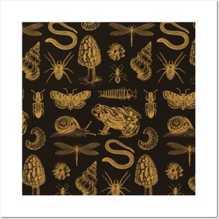 Goblincore Pattern: Frog, Mushroom, Snail, Moth Posters and Art